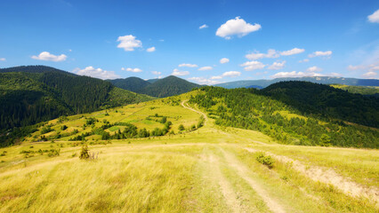 trail through rural fields and meadows on the hills. carpathian countryside in summer with mountain range in the distance. sunny afternoon weather