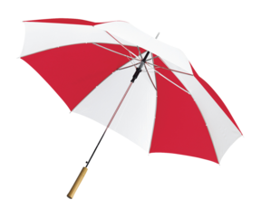 Image of Beautiful Umbrella