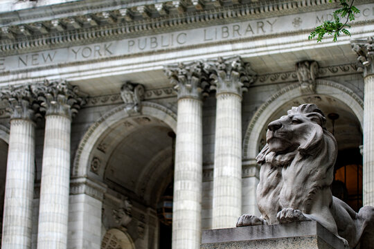 New York, USA; June 4, 2023: Fortress is one of the marble lions guarding the New York library in the background, which contains a wealth of books and has been the setting for movies.