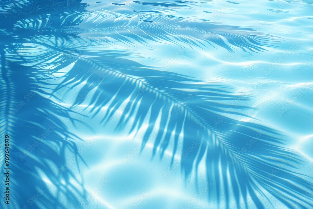 Poster A majestic palm tree is gracefully reflected in a shimmering pool, creating a mesmerizing and tranquil scene of natures beauty