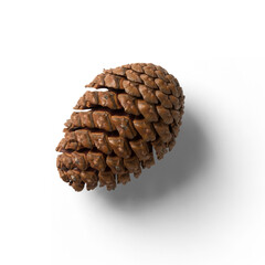 Simple unique concept of pine cone isolated on plain background , fit for your element project.