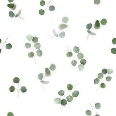Seamless pattern with eucalyptus branch on white background. Watercolor botanical herbal illustration for prints