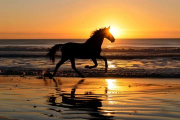 Badezimmer Foto Rückwand silhouette of horse running at sunset on beach © primopiano