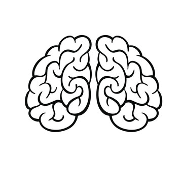 brain outline image, mind line vector