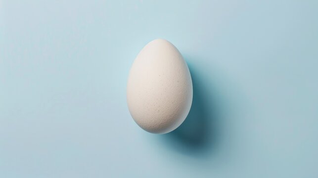 Close up single white egg with shadow isolated on a light blue background. AI generated image