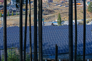 solar panels at a ski resort. energy saving and active recreation