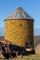 A farmers corn crib full of corn for the winter