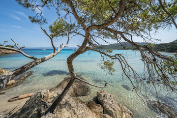 Beautiful Notre Dame beach (Plage Notre-Dame) on Porquerolles island (l'île de Porquerolles), France