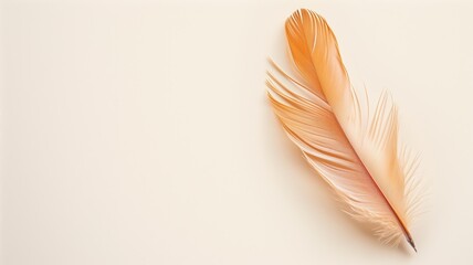A delicate orange and white feather is lying on a soft beige background with ample copy space.