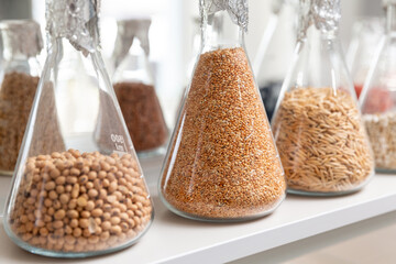 Samples of  encrustied and processed grains in a glass test tubes in agrochemistry lab. - 769670343