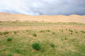 Erdene Grasslands and dunes on Gobi Desert, Mongolia