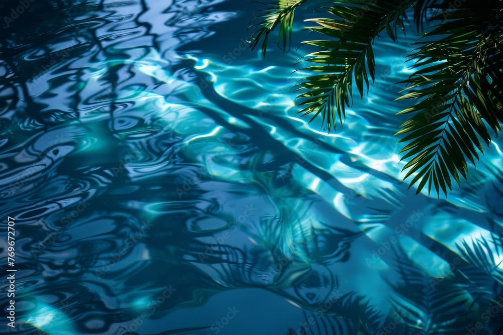 Poster a palm tree reflected in a shimmering pool of water, creating a mesmerizing symphony of natures beau