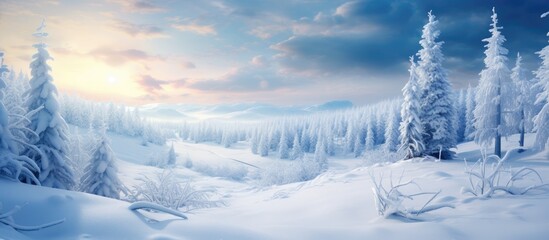 A natural landscape of a snowy forest with trees covered in snow, the sun shining through cumulus clouds. The freezing landscape is like a polar ice cap under the clear horizon