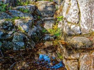 Rocks are reflected on the calm surface of a small pond. A peaceful, refreshing moment in the forest. - 769679722