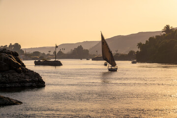 Felucca (traditinal egyptian sailing boat) on the Nile river at sunset  in Aswan, Egypt - 769680531