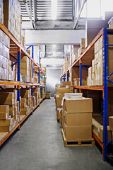 Warehouse, shelf and boxes with storage, supply chain and import with export for products and shipping. Stock, package or inventory with cargo and manufacturing with industry, service or distribution