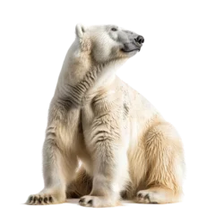 Keuken spatwand met foto Polar Bear on Transparent Background PNG © TheLogoTip