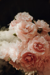 delicate roses on a dark background with fog or steam. a tragic shot with roses.