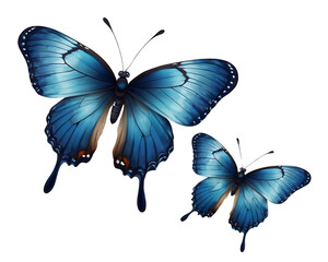A set of three very beautiful blue butterflies with color transitions isolated on a transparent background400