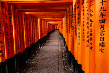 Torii Gates Fushimi Inari Area - obrazy, fototapety, plakaty