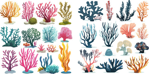 Seaweeds and sea plant creatures