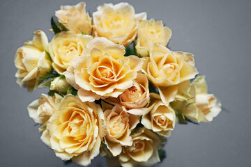 Bouquet of delicate cream roses on a gray background