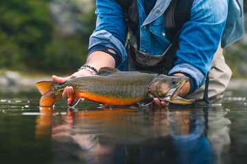 Man is proudly displaying a large brook trout he has just caught. Patagonia.