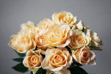 Bouquet of delicate cream roses on a gray background