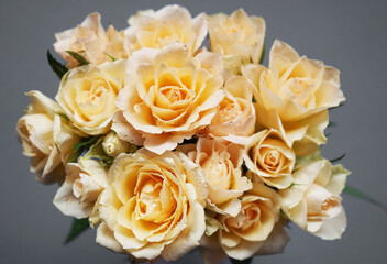 Bouquet of delicate cream roses on a gray background