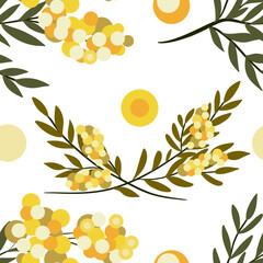 background with spring flowers mimosas 
