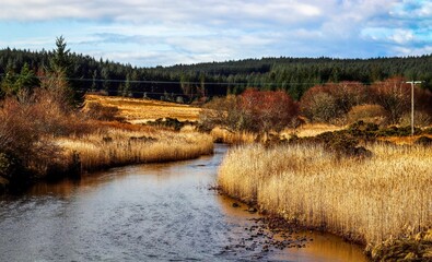 Tranquil stream running through a barren landscape with tall reeds in Isle of Skye, Scotland, UK
