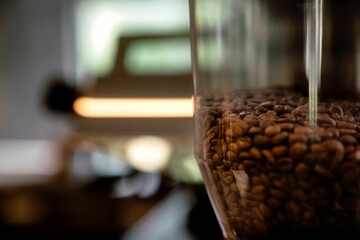 Of freshly ground coffee beans in electric coffee grinder