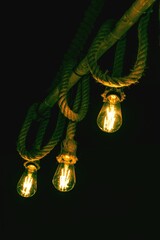 Vertical shot of illuminated lightbulbs hanging from a rope in a dark setting