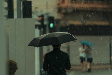 Person is walking alone in the rain, protected from the elements by a black umbrella