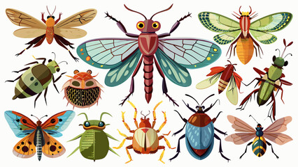 "Assorted Insect Compilation: Individual and Isolated for Easy Identification."