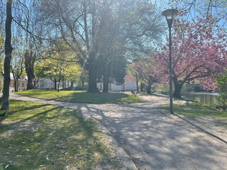 Scenic view of a green park with flowers on a sunny day in Sweden