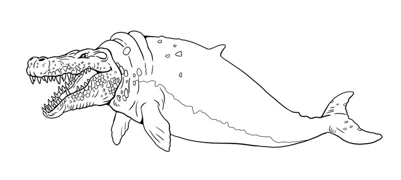 Coloring page with the animals mutants: a whale with a crocodile head. Coloring book with fantasy creatures.	