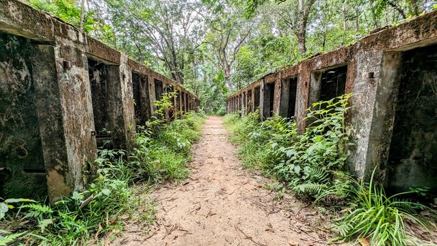 BAGNE DES ANNAMITES - MONTSINERY-TONNEGRANDE (Guyane)