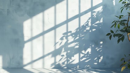 White blank background, Soft afternoon winter window light with a plant shadow - obrazy, fototapety, plakaty