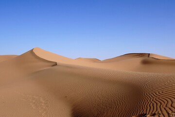 Fototapeta na wymiar a lone camel walking over sand dunes in a desert landscape