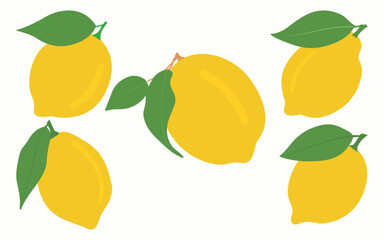 Set Of Orange Vector Illustration With Green Leaf