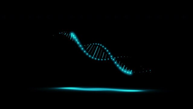 A simple DNA molecule double helix model consisting of small glowing blue neon dots, light bulbs with shadow isolated on a black background. Looped animation 4k 60 fps.