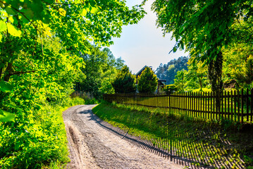 A tranquil dirt road curves around lush green trees and a rustic wooden fence, illuminated by the...