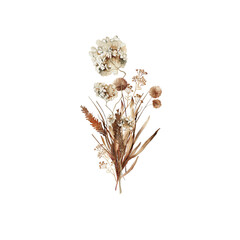 Watercolor boho elegant bouquet with dried grass, flowers, branches, leaves. Floral arrangement perfect for fabric textile, wedding greeting cards