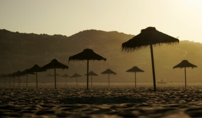 sun shining down on the beach with many umbrellas and trees in background