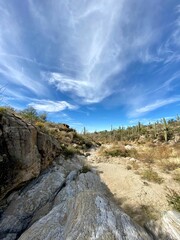 Scenic landscape of an array of large saguaro cacti and rocky terrain lined with small shrubbery