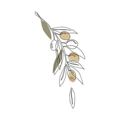 Olive branch with golden fruits, continuous line drawing. Hand drawn floral template, vector isolated illustration.
