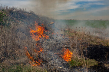 Burning dry grass in the field after the fire. Natural disaster. Forest fire.