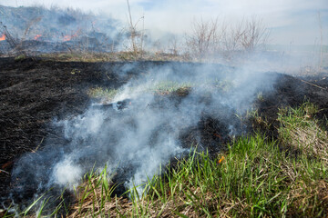 Burning dry grass in the field after the fire. Natural disaster. Forest fire.