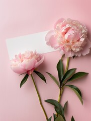 White paper mockup on background with peonies flowers